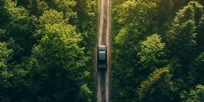 From an elevated view, a rugged black pickup truck skillfully navigates a challenging dirt road through a dense forest, sending up large clouds of dust as it travels the winding trail photo