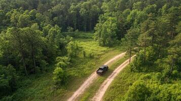 A black pickup truck navigates a winding dirt road that cuts through a dense and vibrant green forest, expertly kicking up a cloud of dust in its wake as it moves along the rugged path photo