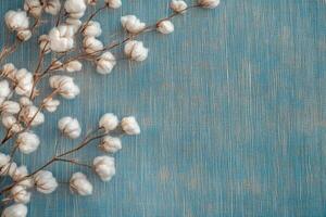 A tranquil and serene backdrop of soft blue, featuring a delicate cotton branch, ideal for various seasonal designs photo