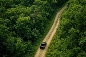 A black pickup truck maneuvers skillfully along a winding, bumpy dirt road, embraced by vibrant, lush greenery all around, culminating in a truly adventurous and picturesque scene before our eyes photo