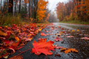 Scenic autumn road covered with vibrant fallen leaves amidst misty forest in beautiful fall foliage. photo