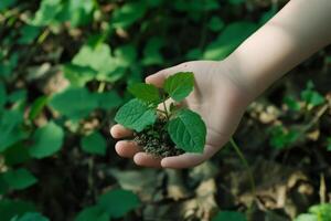 A childs hand cradles a green plant against a colorful background, symbolizing the essential care for nature and the importance of environmental conservation for future generations photo
