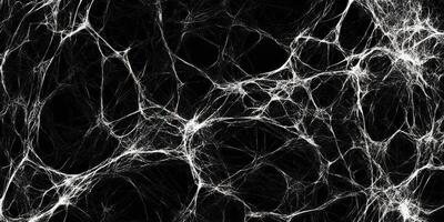 This captivating abstract illustration features intricate cobweblike lines layered on a black background, enhanced by grunge textures that add depth and character to its unique beauty photo