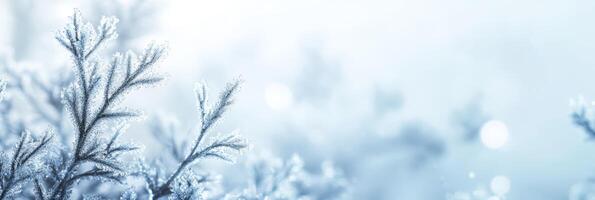 Immerse in a winter scene where snowflakes and frost create an enchanting atmosphere, ideal for joyful holiday themes and for nature lovers who cherish the beauty of this serene season photo