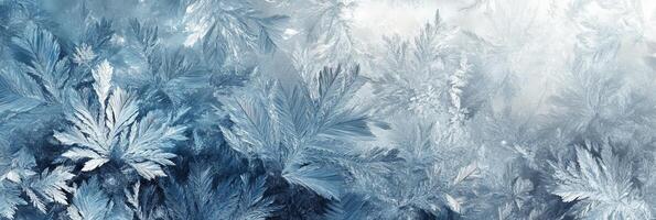 Stunning closeup view of delicate frost crystals creating mesmerizing and beautiful winter designs all around photo