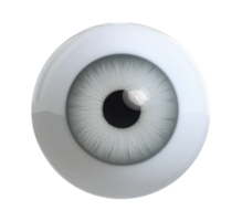 An eye is shown in a white sphere on transparent background png