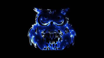 Neon frame effect, Whimsical Owl owl with big eyes on black background video