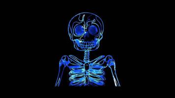 Neon frame effect, Skeleton smiling skeleton with bones on black background video