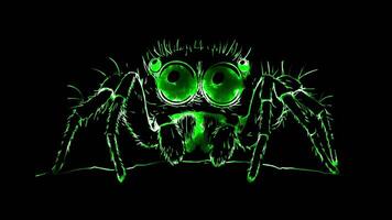 Neon frame effect, Charming Spider cute spider with oversized eyes and fluffy legs on black background video