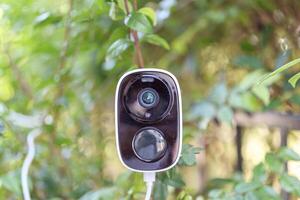 Security IP CCTV camera using solar energy install on the tree for home security system photo