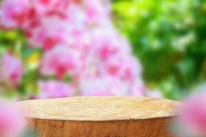 Empty old tree stump table top with blur orchid garden background for product display photo