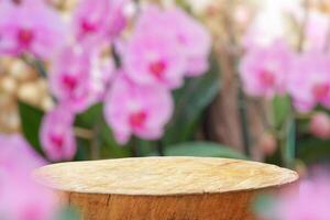 Empty old tree stump table top with blur orchid garden background for product display photo
