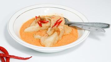 Laksan, a typical food from the city of Palembang photo