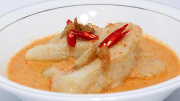 Laksan, a typical food from the city of Palembang photo