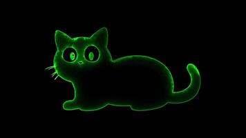 Neon frame effect, Joyful Black Cat cute black cat with bright eyes and a playful pose on black background video