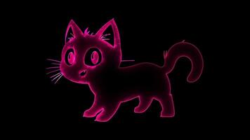 Neon frame effect, Joyful Black Cat cute black cat with bright eyes and a playful pose on black background video