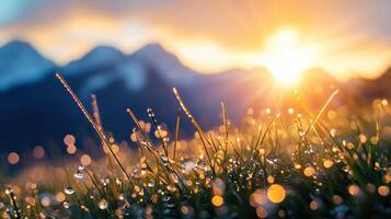 Dew drops on grass with sunrise and mountains in the background, nature photography photo