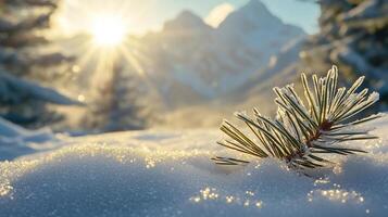 Frosty Pine Branch in Winter Snow With Mountains and Sun in Background photo