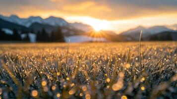 Close up of dew drops on grass at sunrise with mountains and sky in the background photo