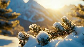 Close up of snow covered pine branch with mountains in the background, sun rays breaking through clouds photo