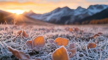 Close up of frost covering the ground with mountains and sunrise in the background photo