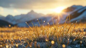 Sunrise over Mountain Range with Dew on Grass Blades photo
