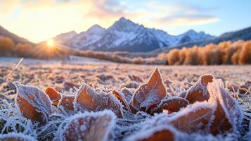 Frozen leaves on a frosty meadow with mountains and sunrise in background photo