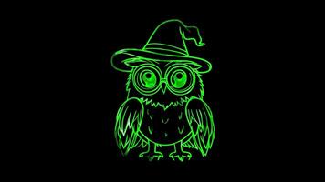 Neon frame effect, Cute Owl in a Hat owl wearing a wizard hat and glasses, looking wise and fun on black background video