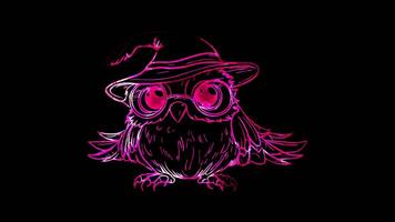 Neon frame effect, Cute Owl in a Hat owl wearing a wizard hat and glasses, looking wise and fun on black background video