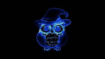 Neon frame effect, Cute Owl in a Hat owl wearing a wizard hat and glasses, looking wise and fun on black background video
