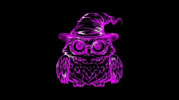 Neon frame effect, Cute Owl in a Hat owl wearing a wizard hat and glasses, looking wise and fun on black background video