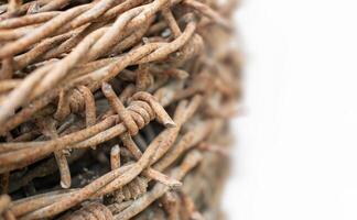 Close-up of rusty barbed wire on a light background photo