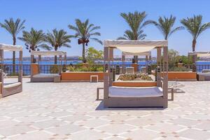 Luxury sunbeds on a tiled patio overlooking a seaside view with palm trees and clear blue sky photo