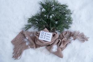 Postcard with text LET IT SNOW on Reusable shopping bag with fir spruce green branches in snowy outdoor winter forest background. Merry Christmas and new year concept. Natural bouquet greeting card. Garland lights photo
