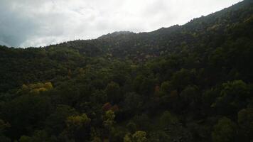 Flying over El Escorial Forest and Monastery in a cloudy Autumn afternoon video