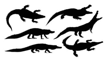 Set silhouettes of large crocodiles. vector