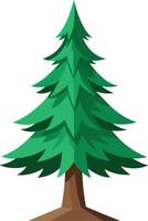 Exploring Spruce Trees Varieties Characteristics and Their Unique Habitats vector