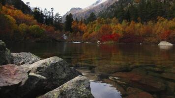 Beautiful lake in mountains with autumn forest. Creative. Mountain pond with small river and autumn forest. Colorful trees and bushes with mountain lake on cloudy autumn day video
