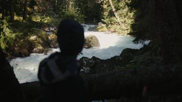 Stream running fast in summer green forest. Creative. Stones and logs and cold river with a silhouette of a man in the shadow. video