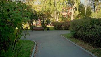 A walk through an empty park. Clip. A sunny empty place with green plants around and benches for relaxation, video