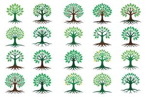 Collection of Tree Icons with Roots and Leaves for Nature and Ecology Themes vector