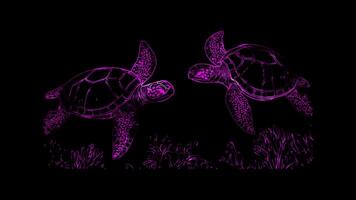 Neon frame effect, Turtle featuring a shell pattern and underwater plants on black background video