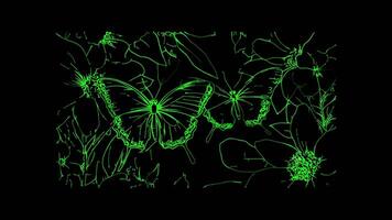Neon frame effect, Butterflies butterfly masks with intricate wing patterns and floral accents on black background video