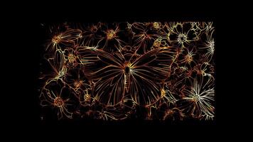 Neon frame effect, Butterflies butterfly masks with intricate wing patterns and floral accents on black background video
