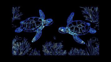 Neon frame effect, Turtle featuring a shell pattern and underwater plants on black background video