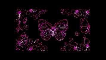 Neon frame effect, Butterflies butterfly masks with intricate wing patterns and floral accents on black background video