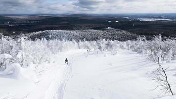 Aerial view of a small group of hikers walking though winter frozen forest. Clip. Concept of tourism. video