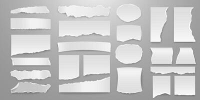 Collection of large set of torn white paper sheets with realistic shadows and white stripe at tear locations. vector
