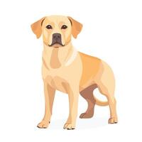 Joyful Cartoon Dog Character in Standing Pose vector