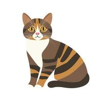 Sweet Domestic Cat with a Gentle Expression vector